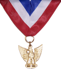 Distinguished Eagle Scout Medal