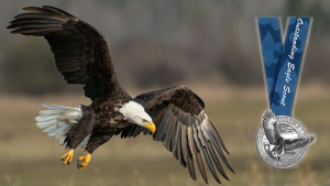 Flying Eagle with NOESA medal